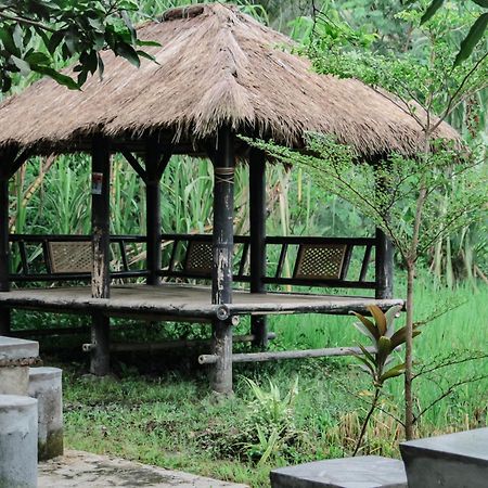 Tiara Homestay Plambi Luaran gambar