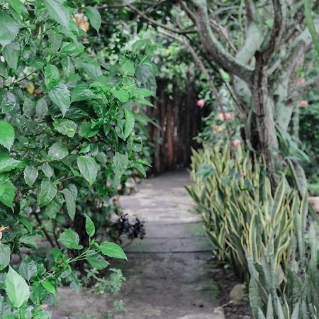 Tiara Homestay Plambi Luaran gambar