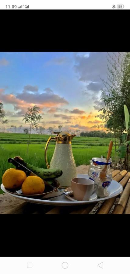 Tiara Homestay Plambi Luaran gambar