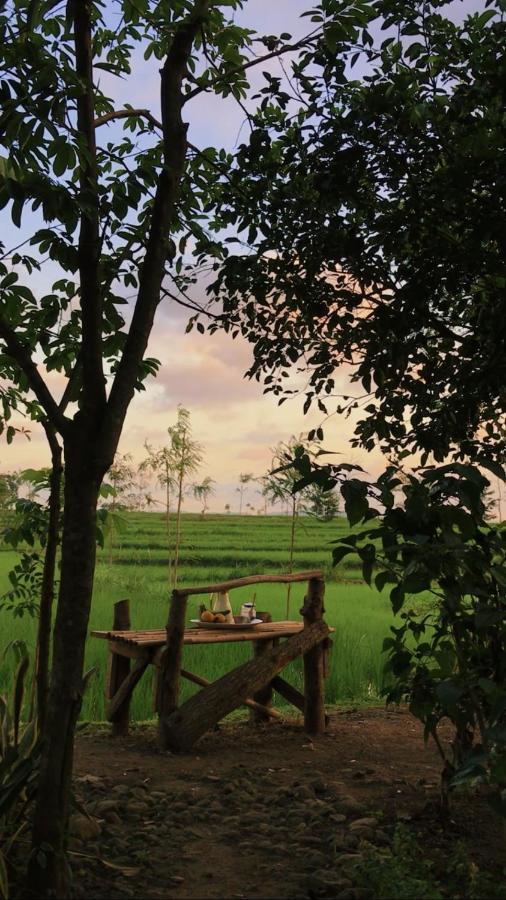 Tiara Homestay Plambi Luaran gambar