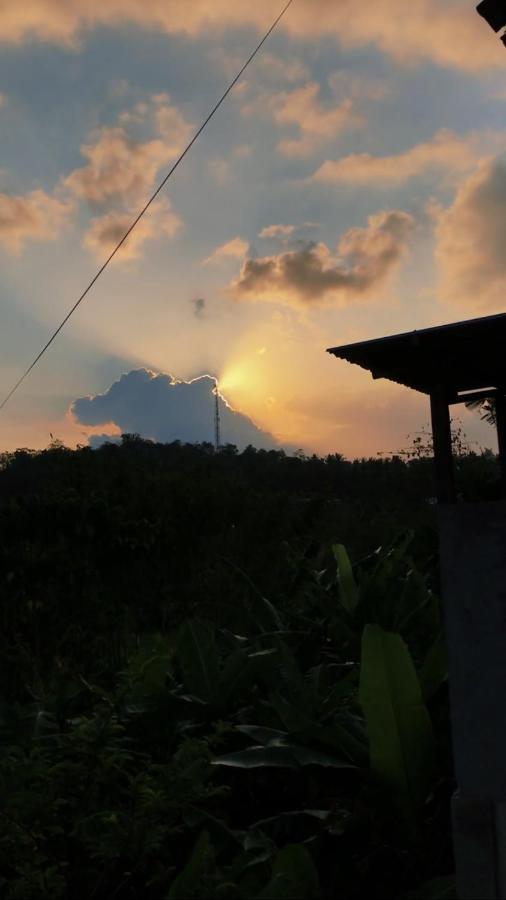 Tiara Homestay Plambi Luaran gambar