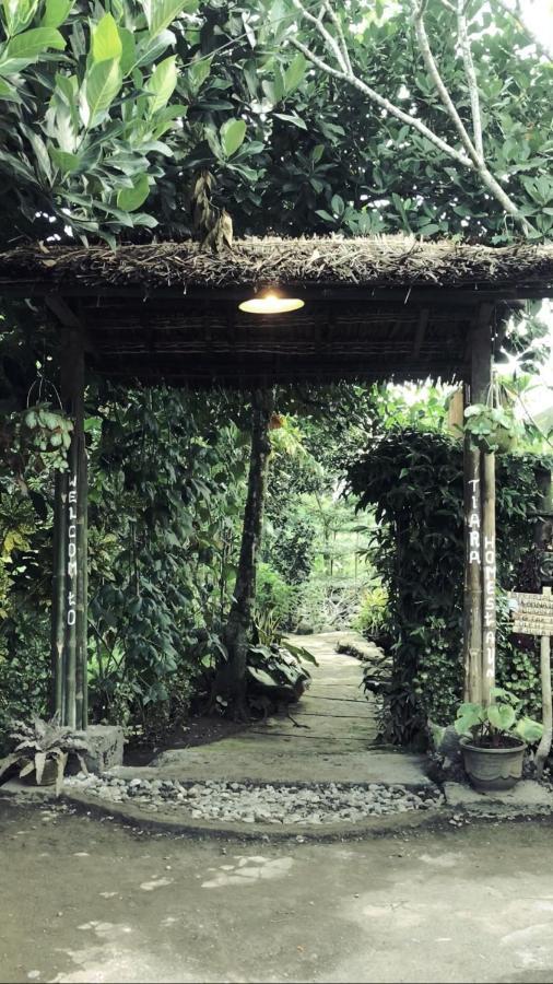 Tiara Homestay Plambi Luaran gambar