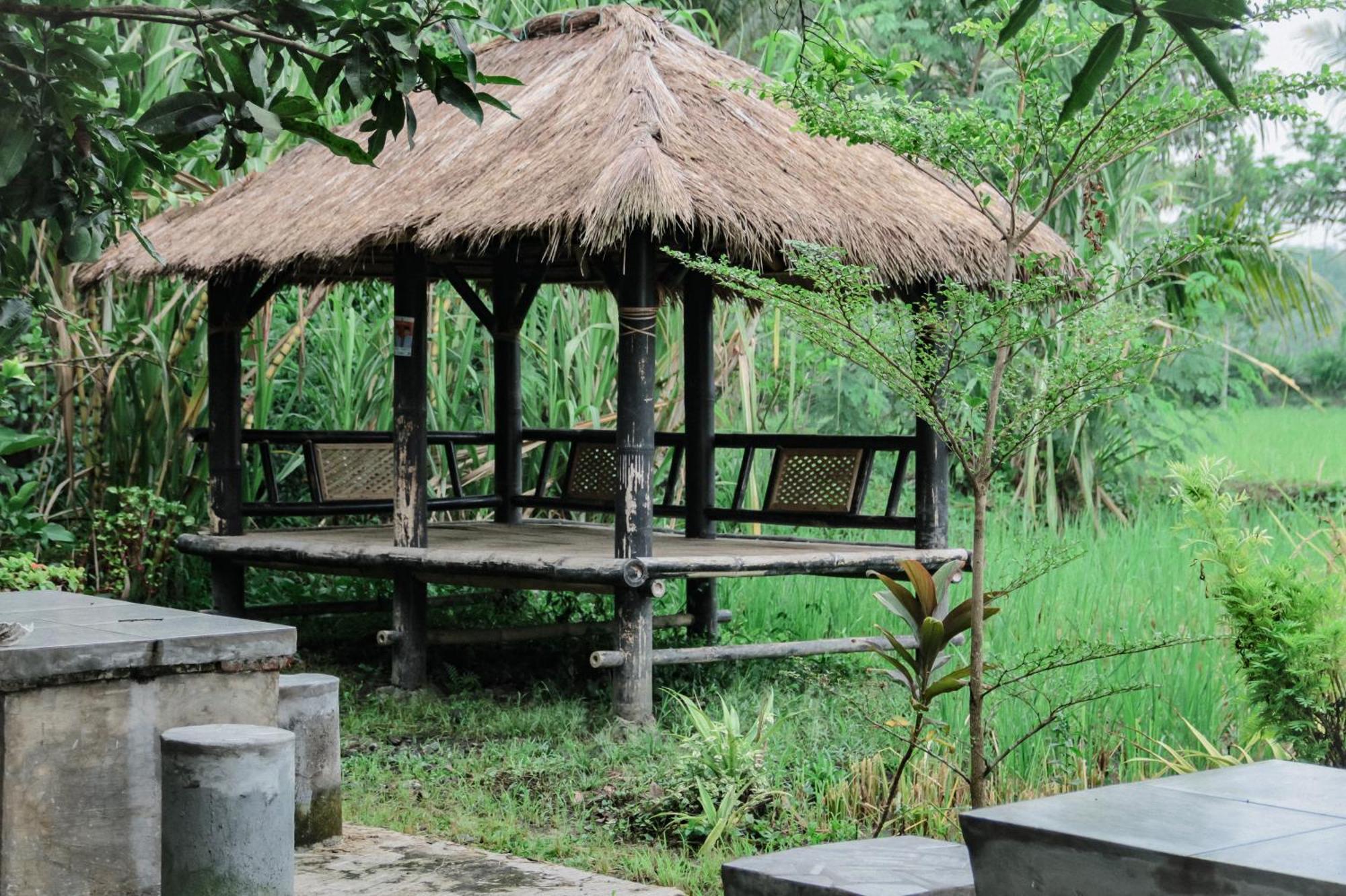 Tiara Homestay Plambi Luaran gambar