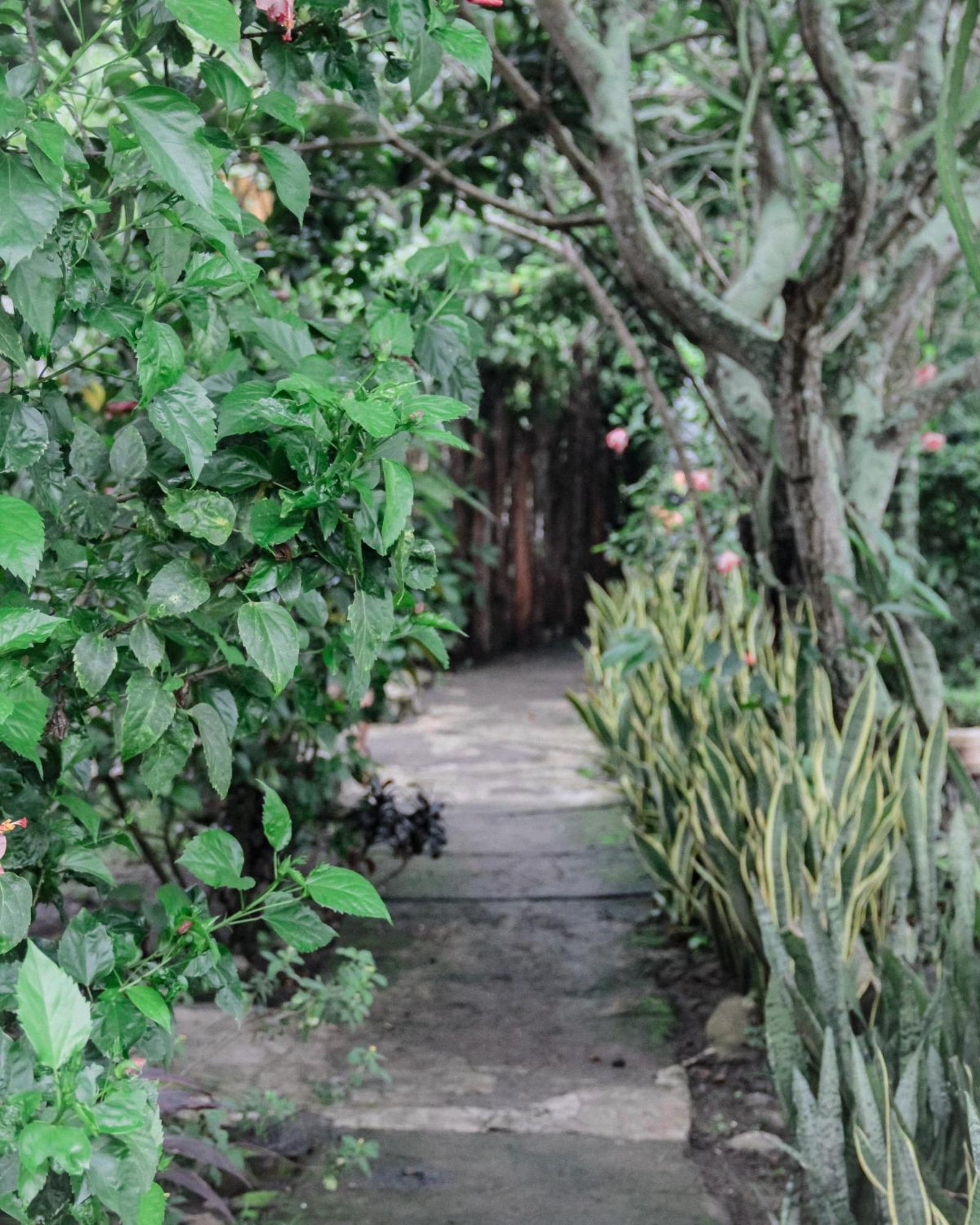 Tiara Homestay Plambi Luaran gambar